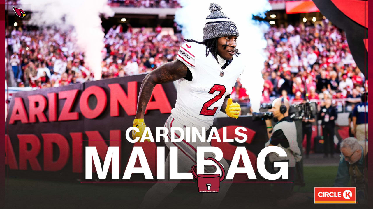 Arizona Cardinals Free Agent Signings and Offseason Strategy BVM Sports