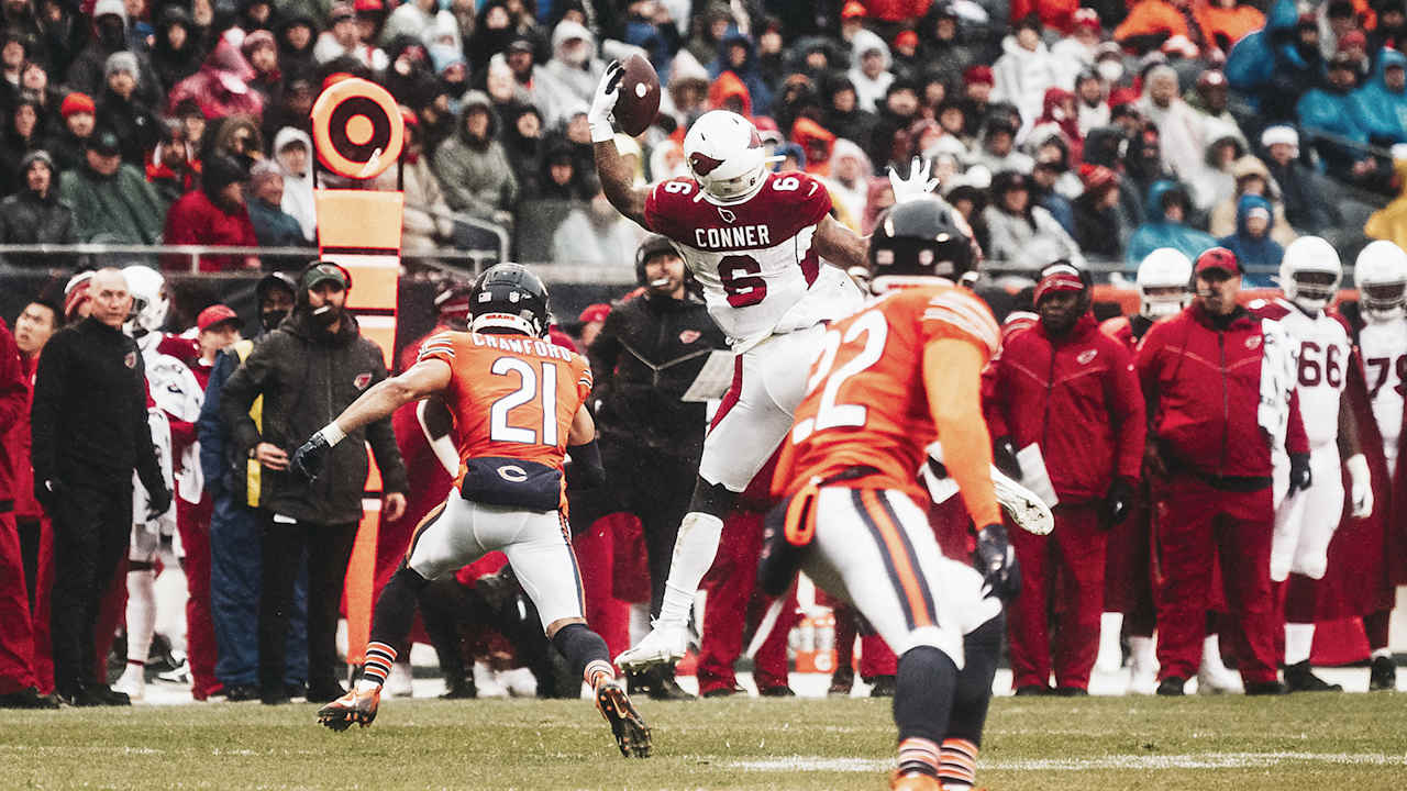 Amazing Cardinals Catches Over The Years