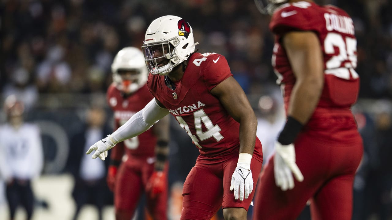 With Future In Mind, Time To Learn For Cardinals Rookies� 