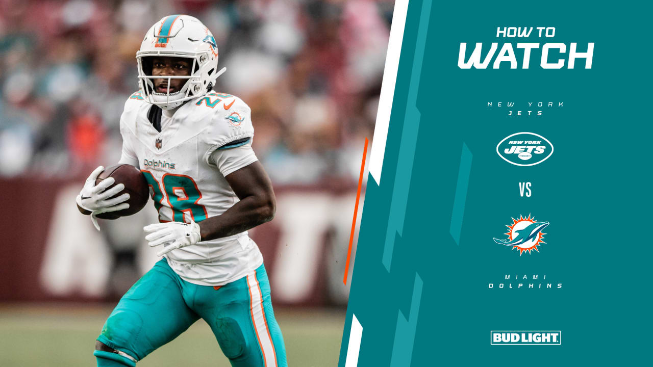 Miami dolphins stream new arrivals