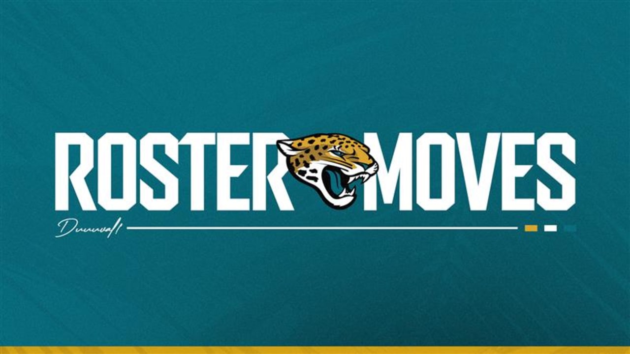 Roster Moves: Jaguars Sign TE Patrick Murtagh