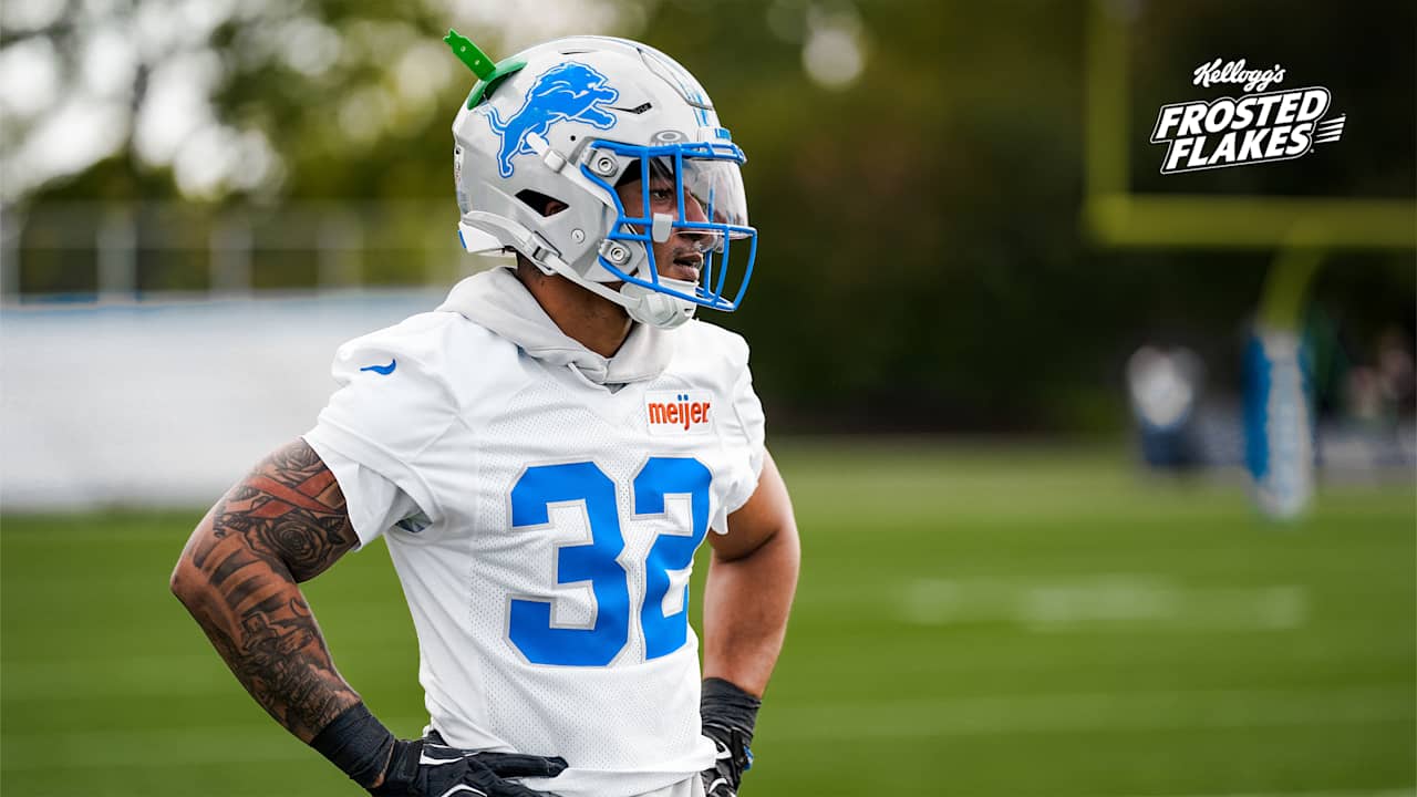 Detroit Lions logo