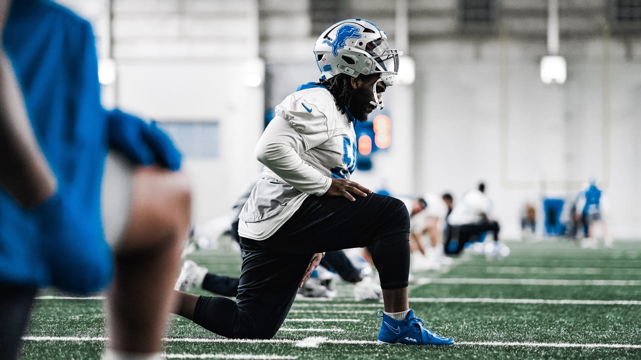 How do the Lions replace Alim McNeill?
