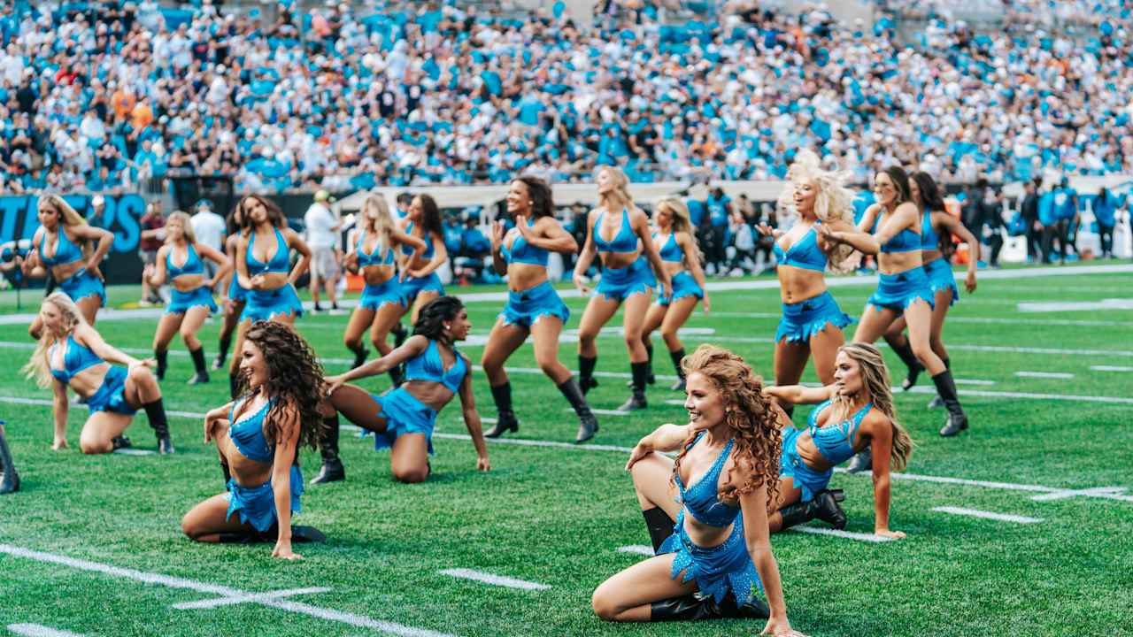 TopCats | Gameday Gallery | Panthers vs. Bears