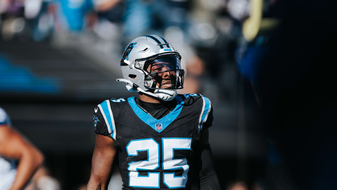 The Unexpected Danger Of Panthers What You Need To Know - wp84zo7
