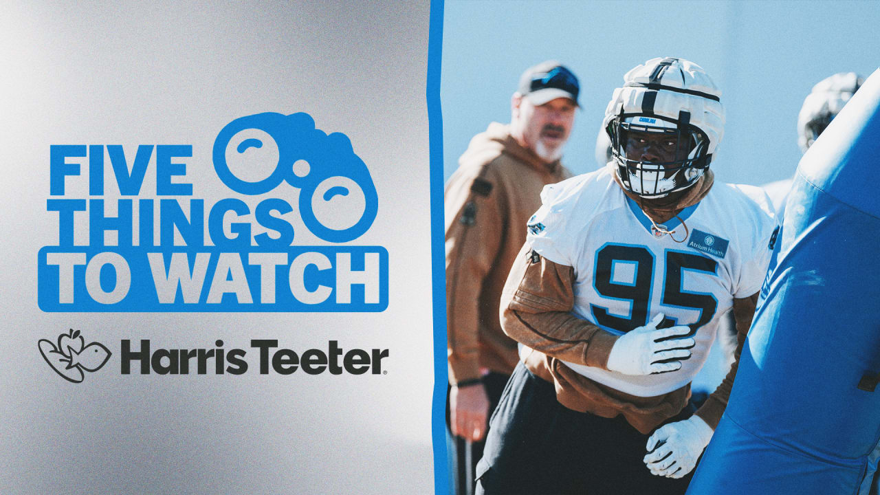 Carolina Panthers vs Tampa Bay Buccaneers Season Finale Highlights