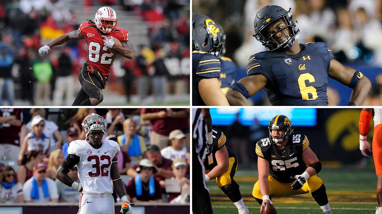 Domestic Cup of Ravens Football: Which U.S. Region Has Produced the Best Ravens?