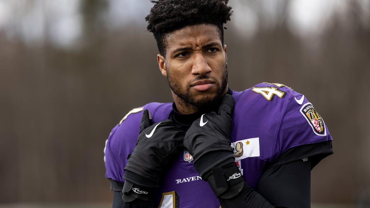Ravens at Near Full Strength vs. Rams - Vimarsana News