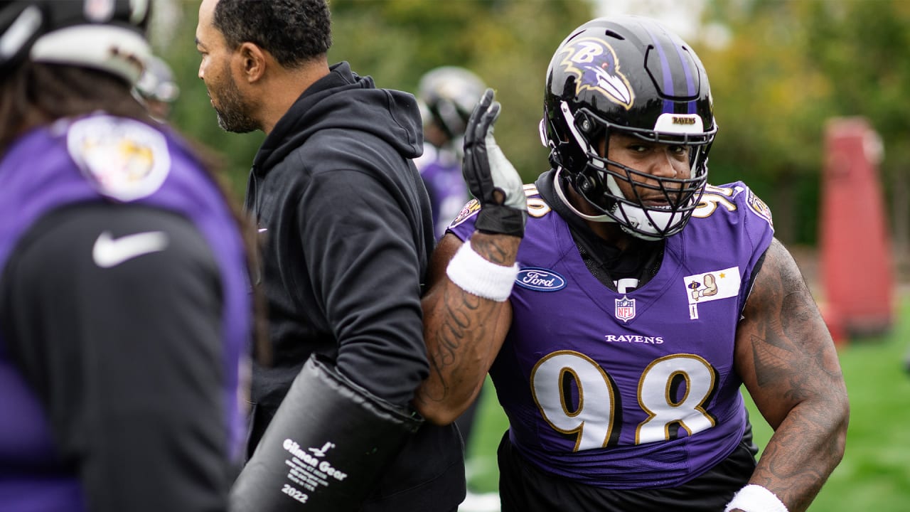 Ravens Training Camp Competition: Defensive Line