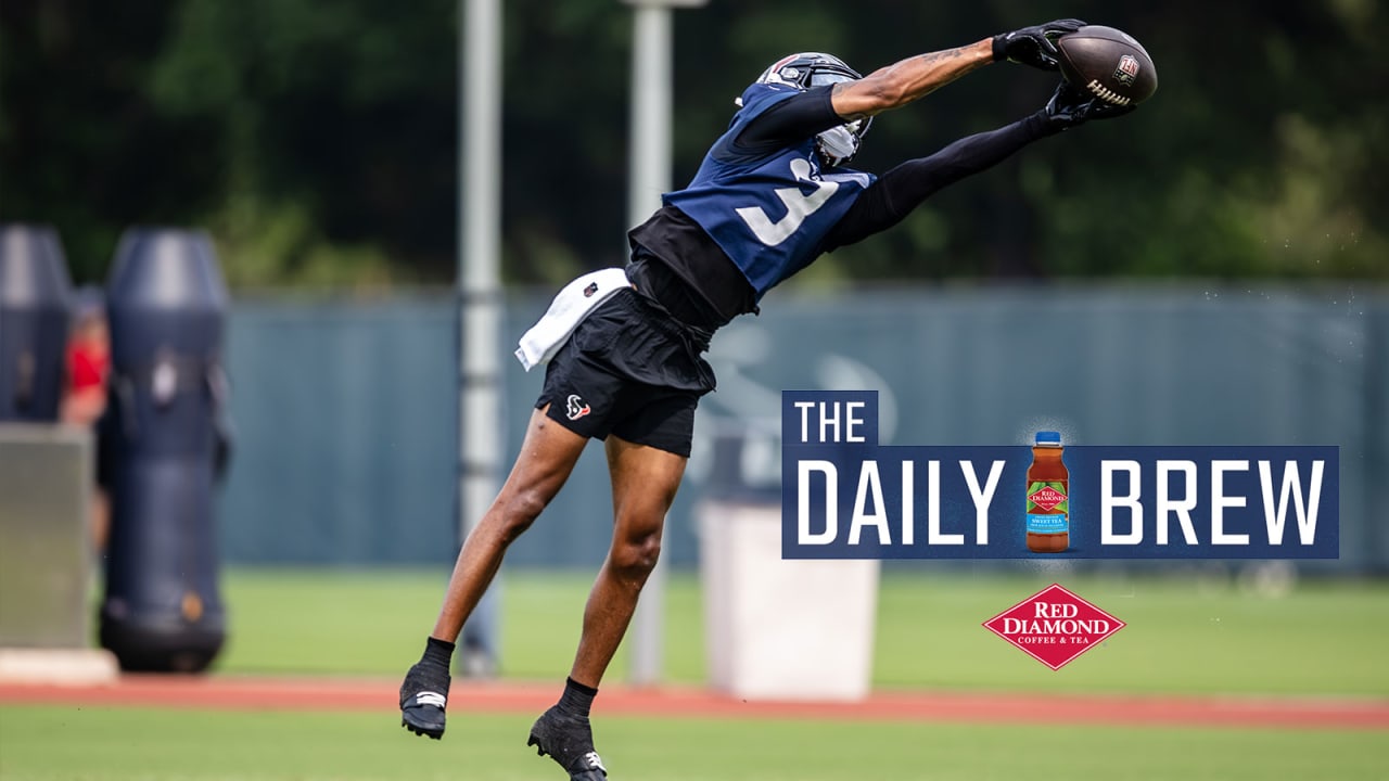 The Houston Texans concluded mandatory minicamp and a national NFL expert called out a Texans special-teamer for his heroics. - Vimarsana News