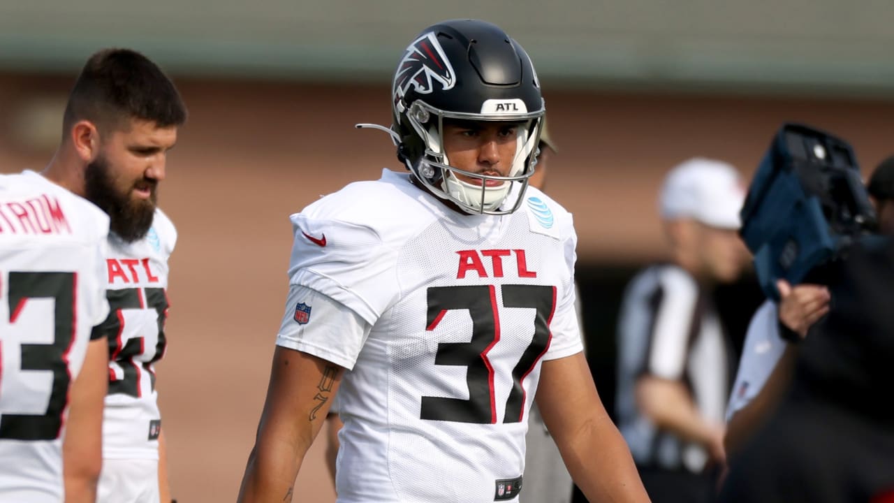 Vikings Sign Free Agent Punter Seth Vernon - Vimarsana News
