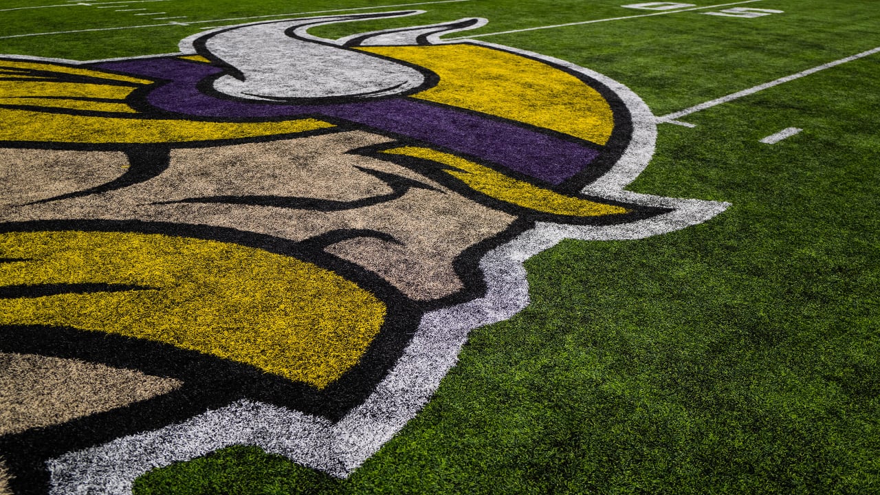 International Fans Connect with Vikings in Unique Ways - Vimarsana News