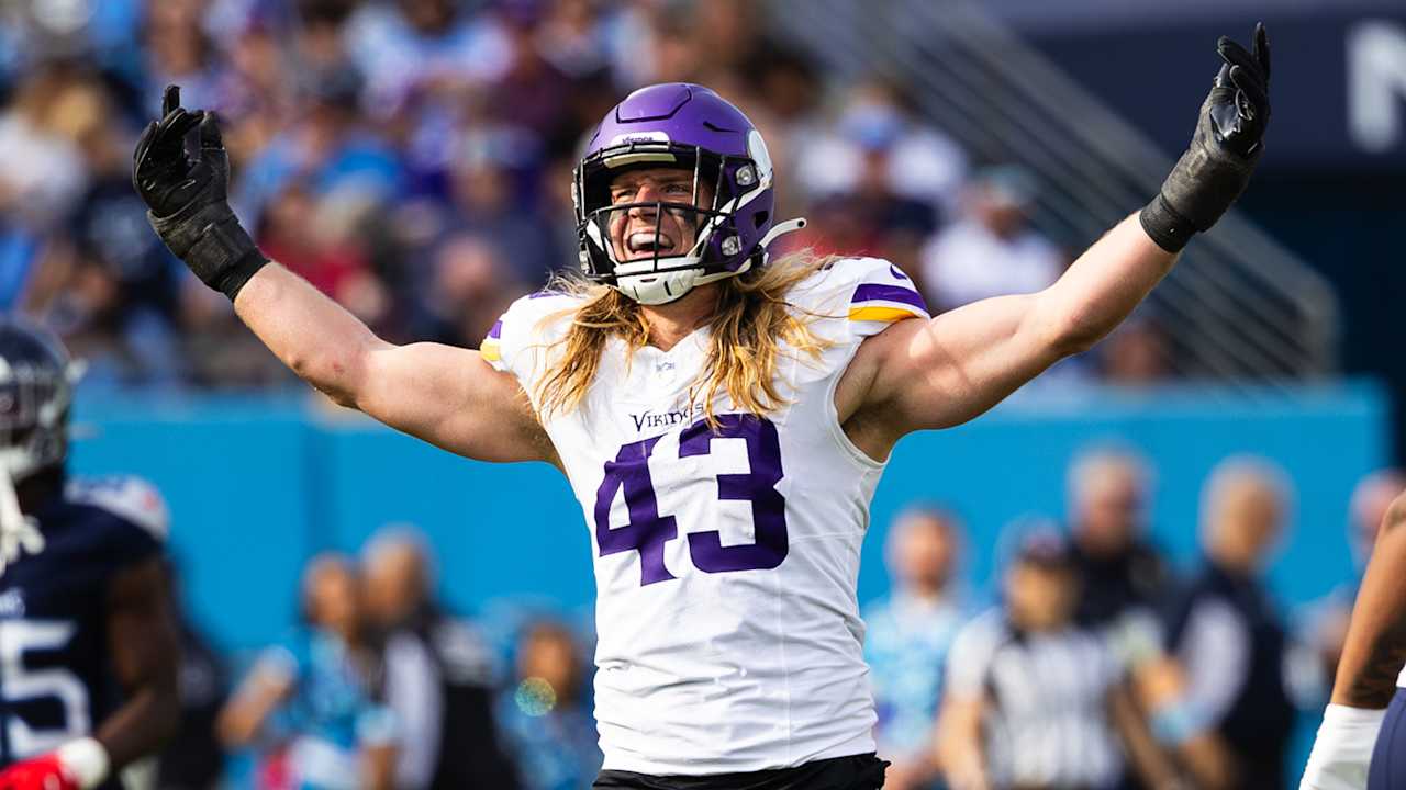 Andrew Van Ginkel 2024 Season Highlights