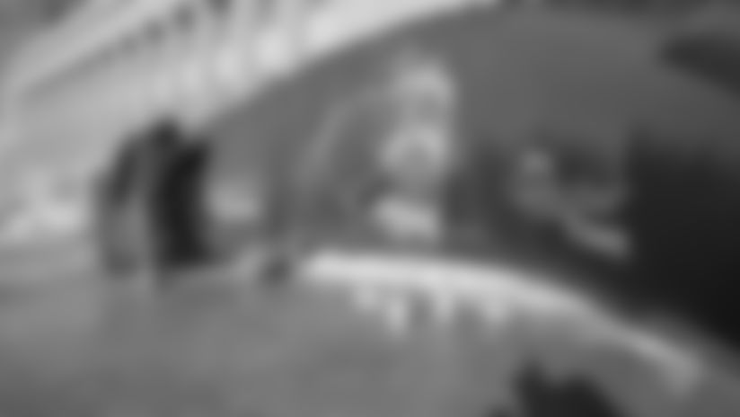 Enjoy the sights and sounds of a Bears gameday at Soldier Field.