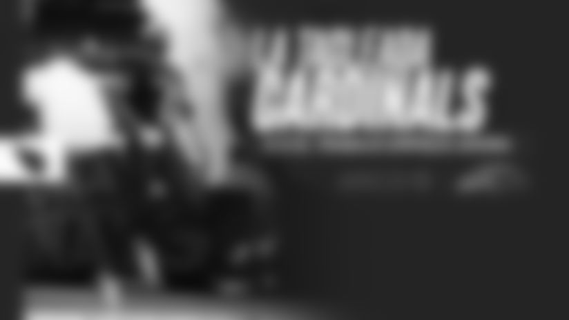 Ep. 179 - Con el Super Bowl LX se baja el telón de la temporada 2025. Irving Villanueva y Rolando Cantú analizan los momentos más importantes de la gran fiesta de la NFL, la histórica inducción de Larry Fitzgerald al Salón de la Fama y lo que este cierre de año significa para Mike LaFleur y el rumbo de los Arizona Cardinals.