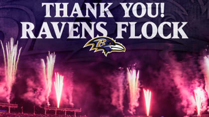 Ravens Photos  Baltimore Ravens –