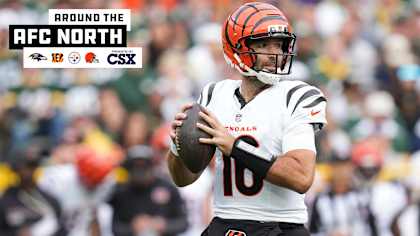 Bengals QB Joe Flacco