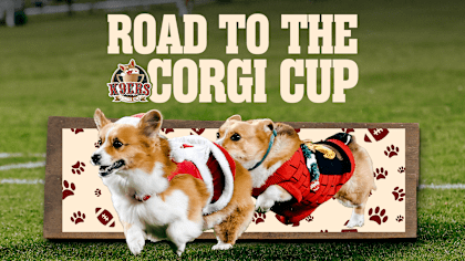 Corgi-Races-Site-TOP