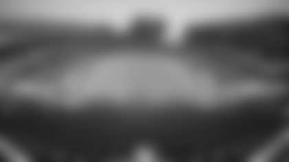 Untitled 16_9 Landscape (3)