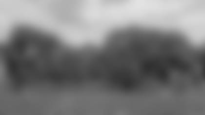 monsters-flag_0001__BB12426.jpg