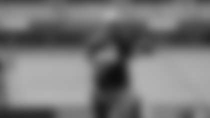 member field deys 11