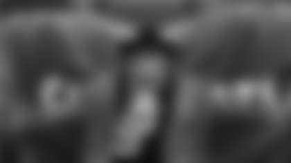 Show Your Stripes - Best Gamedey Fits