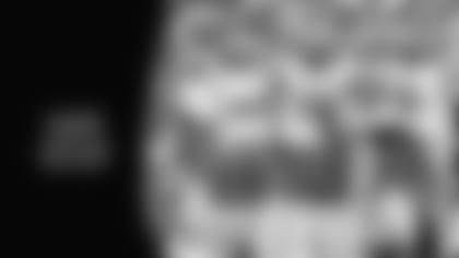 The Bengals lost the Pittsburgh Steelers in Week 11 Sunday.