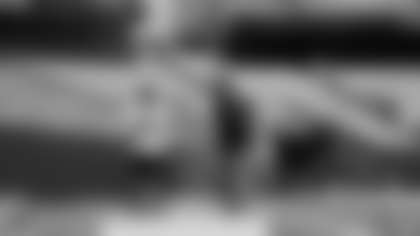 member field deys 10