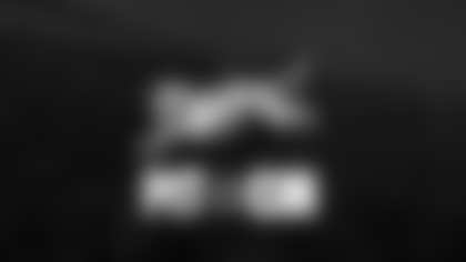 Steelers - White Bengal