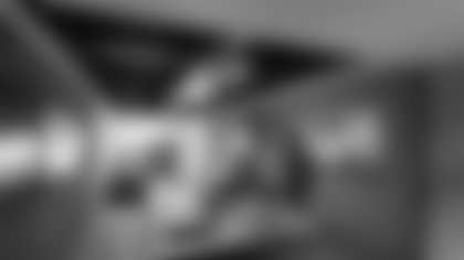 Suites Page - Owners Suite 1