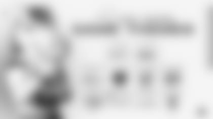 Game Themes_wide_use