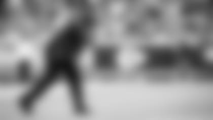 Banda Senior Bowl 1.18