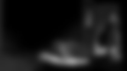 Birdnapped_2023_NoText