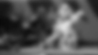 WR Michael Wilson streaks down the field for a touchdown.