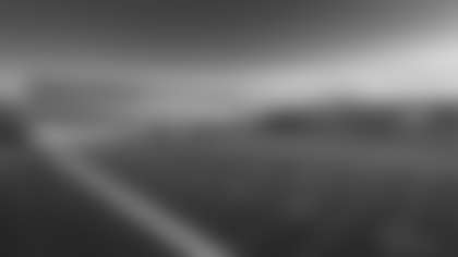 A look at the practice fields to be built for the Cardinals in north Phoenix, to open in 2028.