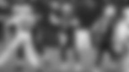 Cardinals Essentials - History - 2021