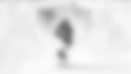 Gates HOF Finalist 16x9