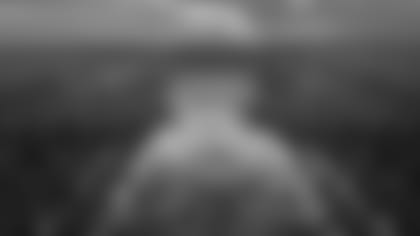 View 8 (Pictury) - View from Central Activation Zone - Concert