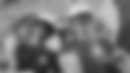 Dolphins Sub Sampling