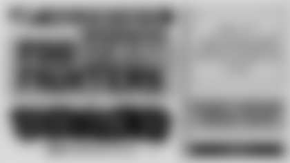 Foo Fighters: Take Cover Tour