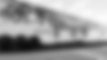 MEC LANDING PAGE ARTWORK 3 - TIMOTHY SMITH - MURAL BACK OF INDOOR FACILITY