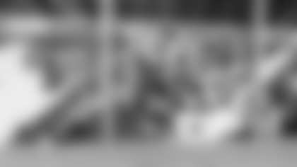 MEC LANDING PAGE ARTWORK 6 - ARLIN GRAF - JAGUAR MURAL