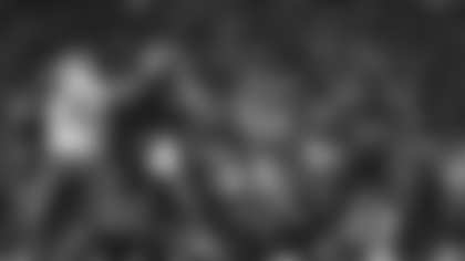 ML1_9394