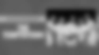 Halftime-DAL-Mainboard