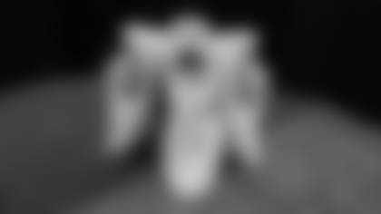 Head Coach Matt LaFleur