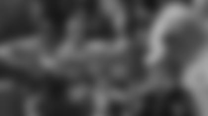 Terry Sportsman – Elgin, IL