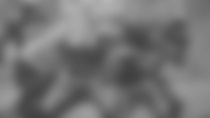 Carolina Panthers play against the New Orleans Saints on Sunday, December 22, 2013.