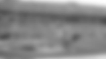 Carolina Panthers' Ricky Proehl (81) catches a 12-yard touchdown pass as Jacksonville Jaguars' Jason Craft (29) defends with 16 seconds left in the fourth quarter in the Panthers' 24-23 win in Charlotte, N.C., Sunday, Sept. 7, 2003. (AP Photo/Mike McCarn)