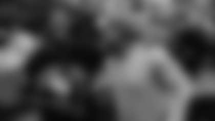 Jonathan Stewart, Steve Smith