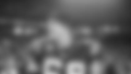 Carolina Panthers play against the New England Patriots on Monday, November 18, 2013.